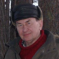 Валерий Каретников