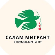 Салам Мигрант