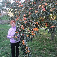 Евдокия Стольникова\леушина