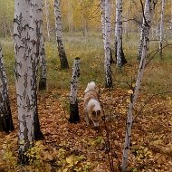 Андрей Сугаков