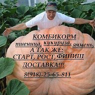 Корма Для