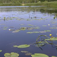 Sergejprokopenja И