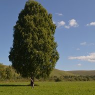 Ирина Мальцева