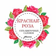 Красная Роза