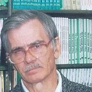 Анатолий Николаев