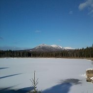 Светлана Шумилова