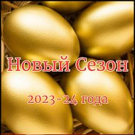 Компания 89160706844