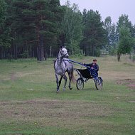 Вован Полынкин