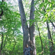 Наталья Куликовская