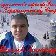 Александр Шепелев