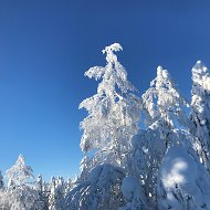 Валентин Шапка