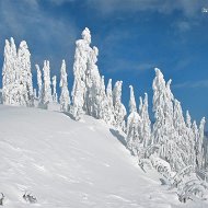 Демасик Никерин