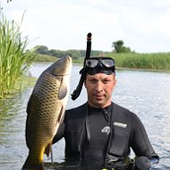 Александр Соколов