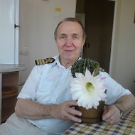 Анатолий Нарежный
