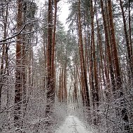 Анастасия Лемешевская