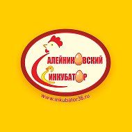 Алейниковский Инкубатор