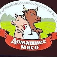 Домашнее Мяса