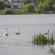 Владимир Евменов