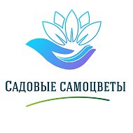 Садовые Самоцветы