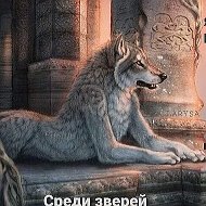 Одиноки Волк