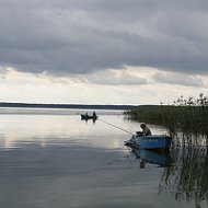 Алексей @ron