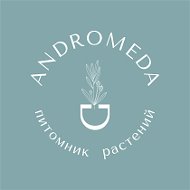 Andromeda Питомник