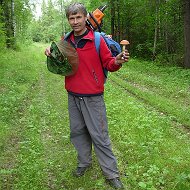 Михаил Савельев