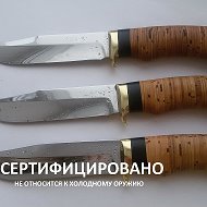 Дмитрий Ножевой
