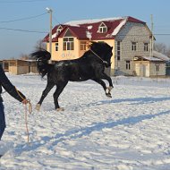 Прокат На