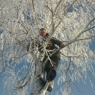 Сергей Дашков