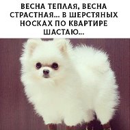 Людмила Соломкина