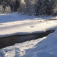 Полина Загоруйко