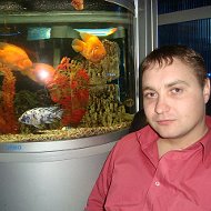 Дмитрий Сидорцов
