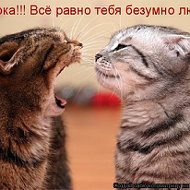 Виктор Котяра