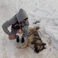 Фарухиддин Шоев