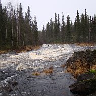 Алексей Корехов