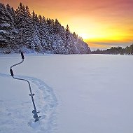 Сергей Петрусевич