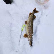 Александр Подольский