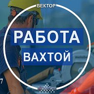 Ооо Вектор