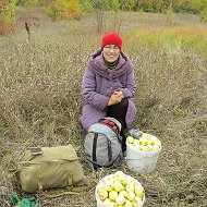 Олимпиада Алексеева