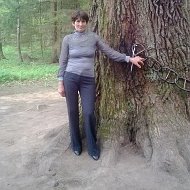 Елена Писаренко