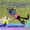 Тимур Кадыров