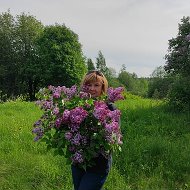 Елена Лошкарева