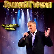 Алексей Гуркин