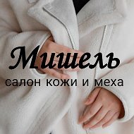 Мишель Салон