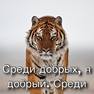 Худойбердиев Х