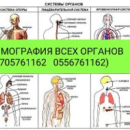 Диагностика И