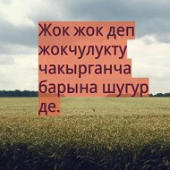 Апасынын Эркеси