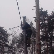 Андрей Кругликов-порозов