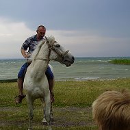 Александр Шкута